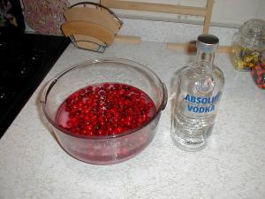 Cranberry syrup & vodka