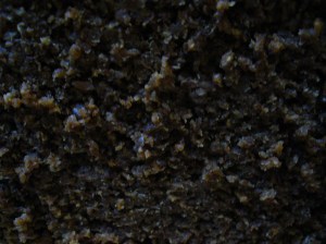 Pumpernickel close-up