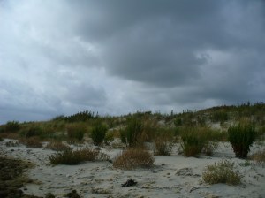 Dunes
