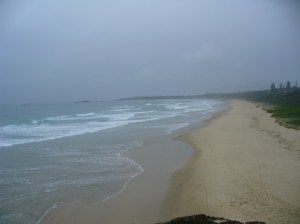 Sawtell Beach from lookout
