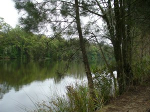 Bonville Creek
