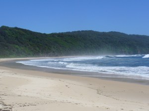 Seal Rocks Beach 1 - 1