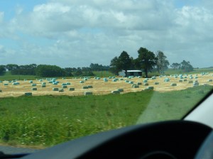 Hay bales
