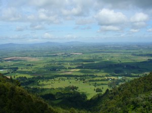 View from the top View from the top