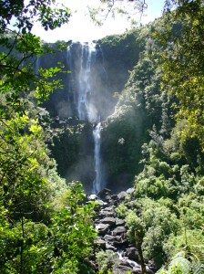 View from lookout View from lookout