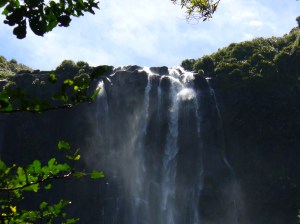 Top of falls Top of falls
