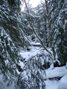 Frozen waterfall & stream