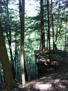 Rocks along Window Trail
