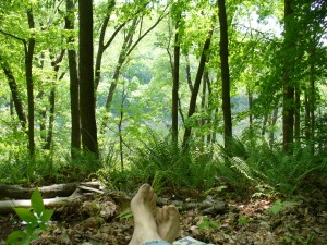 View from the campsite