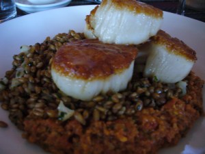 Scallops with pepper romesco & farro